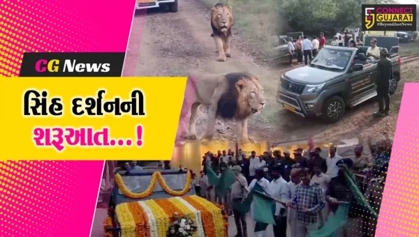 જૂનાગઢ: ગીર અભ્યારણમાં સિંહ દર્શનની શરૂઆત થતા વિદેશી પ્રવાસીઓએ પણ મુલાકાત લીધી