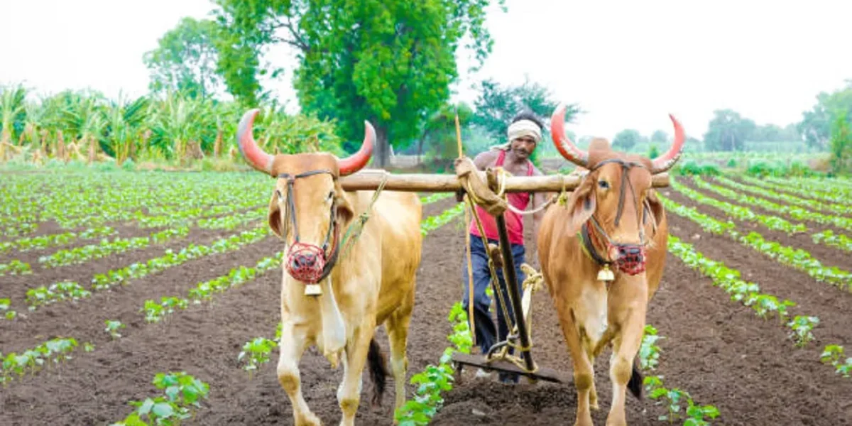 ખેડૂતો માટે રાજ્ય સરકાર દ્વારા રૂપિયા 1419.62 કરોડનું સહાય પેકેજ જાહેર કર્યું