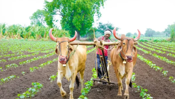 ખેડૂતો માટે રાજ્ય સરકાર દ્વારા રૂપિયા 1419.62 કરોડનું સહાય પેકેજ જાહેર કર્યું