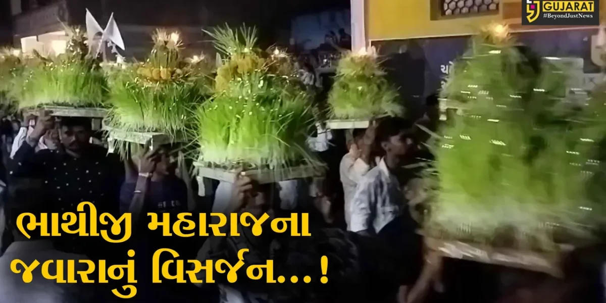 ભરૂચ: જંબુસર તાલુકાના વેડચ ગામે ભાથીજી મહારાજના 890 જવારાનું ભક્તિભાવપૂર્વક વિસર્જન કરાયું