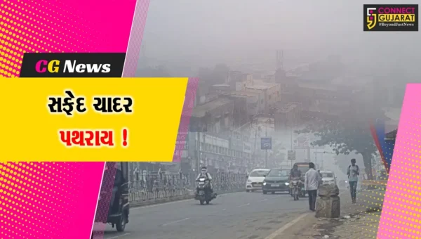 ભરૂચ: ધુમ્મસની ચાદરમાં શહેર ઢંકાયુ, ફૂલ ગુલાબી ઠંડીનો અહેસાસ