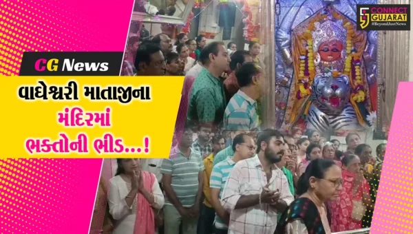 જૂનાગઢના અતિ પ્રાચીન વાઘેશ્વરી માતાજીના મંદિરે નવરાત્રી નિમિતે ભક્તોની ઉમટી ભીડ
