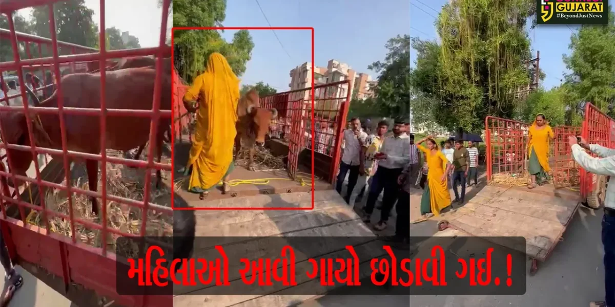 અંકલેશ્વર: તંત્ર દ્વારા રસ્તે રખડતા ઢોર પાંજરે પુરાયા, ઢોર માલિકો દાદાગીરી સાથે ઢોર છોડાવી લઈ જતા મામલો પોલીસ મથકે પહોંચ્યો