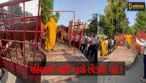 અંકલેશ્વર: તંત્ર દ્વારા રસ્તે રખડતા ઢોર પાંજરે પુરાયા, ઢોર માલિકો દાદાગીરી સાથે ઢોર છોડાવી લઈ જતા મામલો પોલીસ મથકે પહોંચ્યો