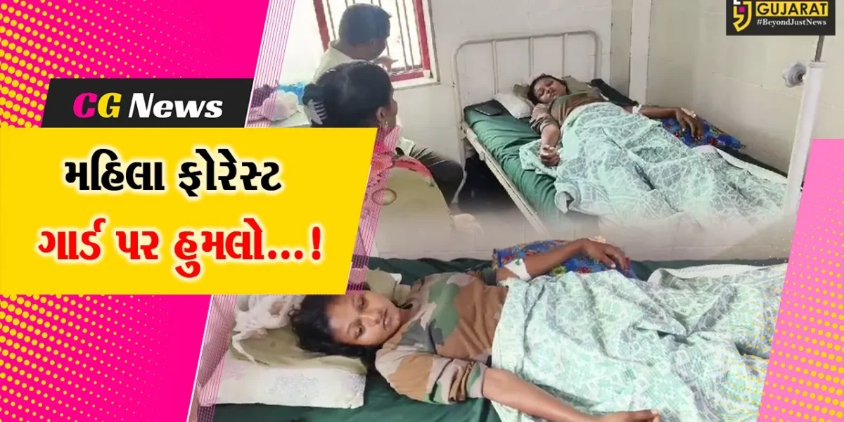 અમરેલી: રાજુલામાં વન વિભાગના મહિલા ગાર્ડ પર જૂની અદાવતની રીસ રાખીને હિચકારા હુમલાથી ચકચાર