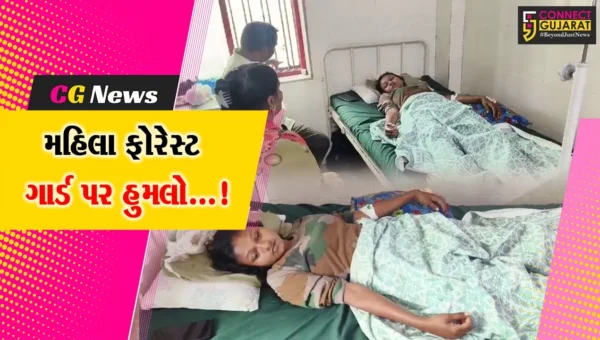 અમરેલી: રાજુલામાં વન વિભાગના મહિલા ગાર્ડ પર જૂની અદાવતની રીસ રાખીને હિચકારા હુમલાથી ચકચાર
