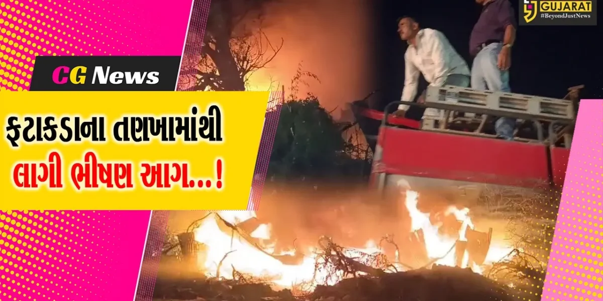 જૂનાગઢ: ગુજરાત હાઉસિંગ બોર્ડમાં ફટાકડાના તણખા ઉડતા કચરાના ઢગલામાં લાગી વિકરાળ આગ