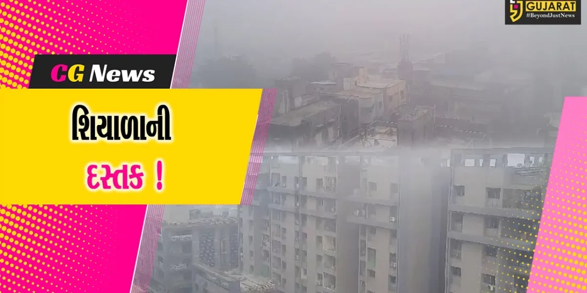 ભરૂચ અંકલેશ્વરમાં શિયાળાનું બિલ્લીપગે આગમન, ફૂલ ગુલાબી ઠંડીનો અનુભવ