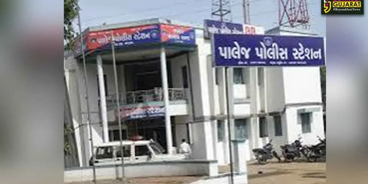 ભરૂચ: પાલેજ નજીક હાઇવે પર અજાણ્યા વાહનની અડફેટે ન્યુઝ પેપર વિતરકનું મોત
