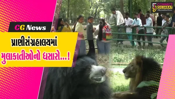 સુરત: પ્રાણીસંગ્રહાલયને દિવાળી વેકેશન ફળ્યું,રૂ.22.32 લાખની થઈ આવક