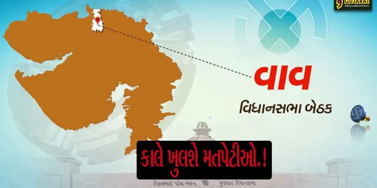 બનાસકાંઠાની વાવ વિધાનસભા બેઠક પરના 10 ઉમેદવારોના ભાવિનો ફેંસલો, શનિવારે 23 રાઉન્ડમાં યોજાશે મતગણતરી