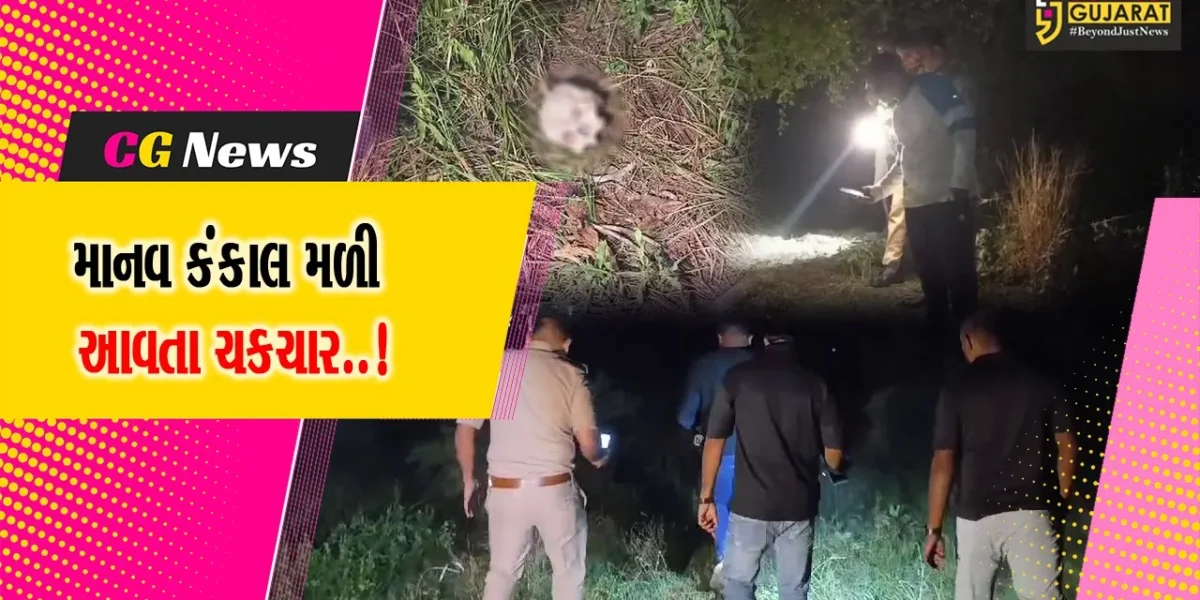 વલસાડ : સાયન્સ કોલેજ પાછળ ખુલ્લા પ્લોટમાંથી માનવ કંકાલ મળ્યું