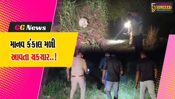 વલસાડ : સાયન્સ કોલેજ પાછળ ખુલ્લા પ્લોટમાંથી માનવ કંકાલ મળ્યું