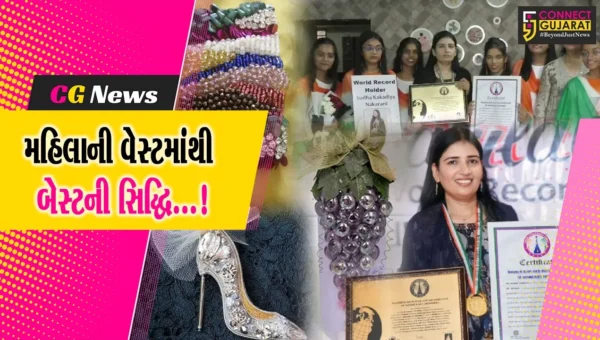 સુરત: મહિલાએ વેસ્ટ માંથી બેસ્ટ બનાવી વર્લ્ડ રેકોર્ડ સર્જ્યો, 6 વર્ષમાં 18 પ્રકારની હસ્તકલાના 3 લાખ ટુકડા બનાવ્યા
