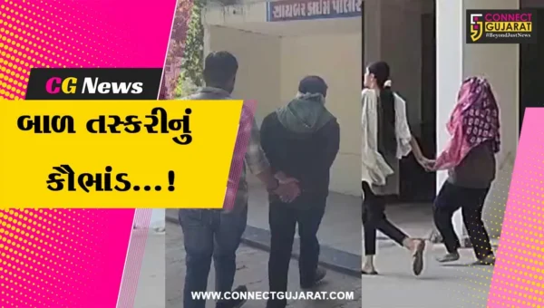 પાટણ: બાળ તસ્કરીના કૌભાંડનો પર્દાફાશ,પોલીસે એક મહિલા સહિત ત્રણ આરોપીઓની કરી ધરપકડ