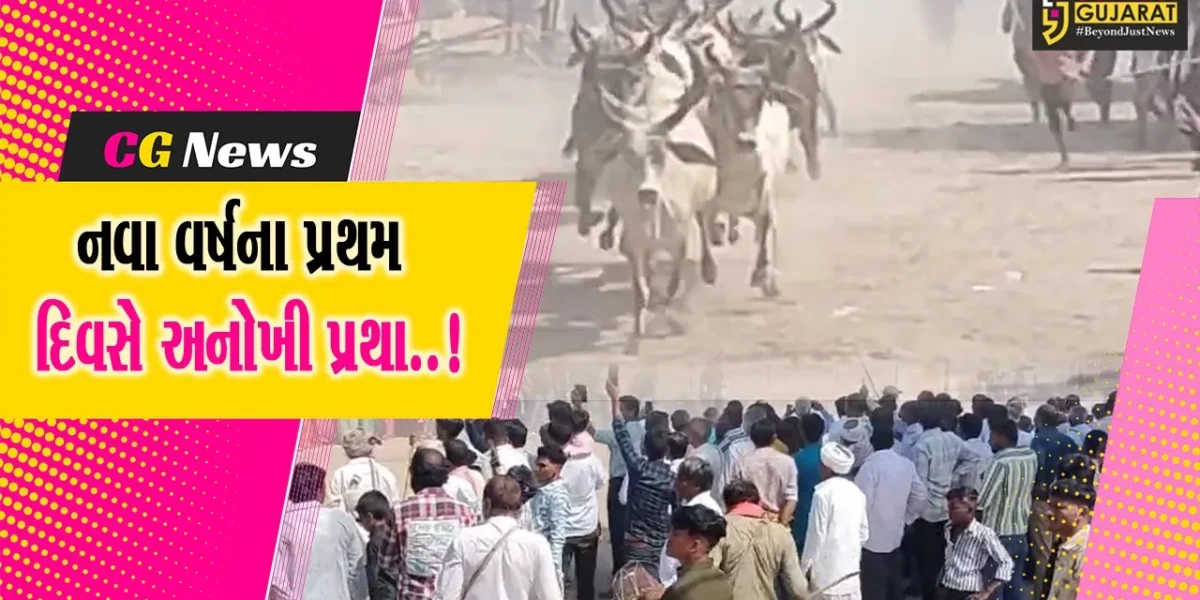 સુરેન્દ્રનગર: વડગામમાં અતૂટ શ્રદ્ધા સાથે ઉજવાતી વર્ષો જૂની પરંપરા,નવા વર્ષે ગોવાળો પાછળ ગાયોને દોડાવવાની પ્રથા