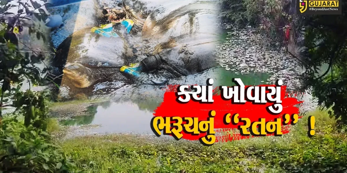 ભરૂચ: ઐતિહાસિક રતન તળાવનો અસ્તિત્વ સાથે જંગ ! કરોડો રૂપિયાની ગ્રાન્ટ તળાવના પાણીમાં જ ગરકાવ થઈ ?