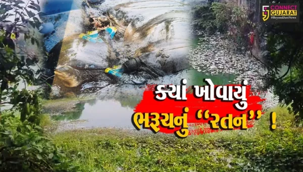 ભરૂચ: ઐતિહાસિક રતન તળાવનો અસ્તિત્વ સાથે જંગ ! કરોડો રૂપિયાની ગ્રાન્ટ તળાવના પાણીમાં જ ગરકાવ થઈ ?