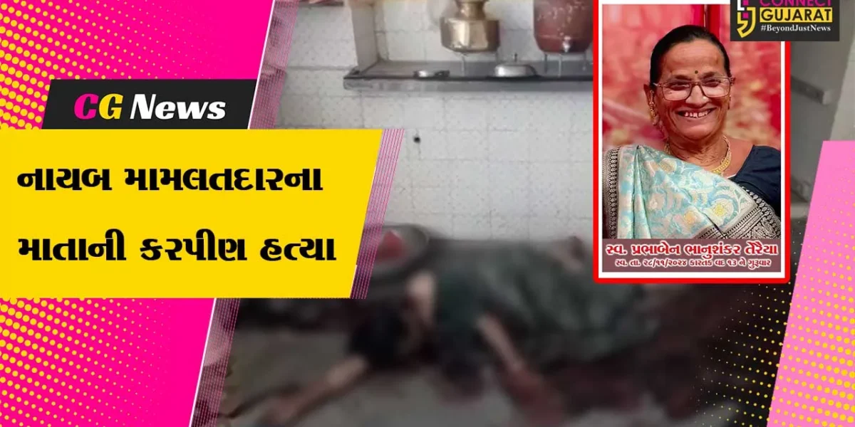 અમરેલી: નાયબ મામલતદારના વૃદ્ધ માતાની હત્યાથી ચકચાર