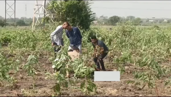 કરજણમાં નીલગીરીના ખેતરમાંથી વિકૃત અવસ્થામાં યુવાનનો મૃતદેહ મળતા ચકચાર