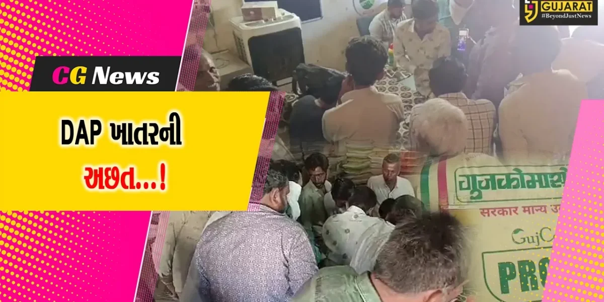 અમરેલી: રવિ પાકના વાવેતરમાં જોતરાતા ખેડૂતો માટે ખાતરની અછત બની પરેશાનીનું કારણ