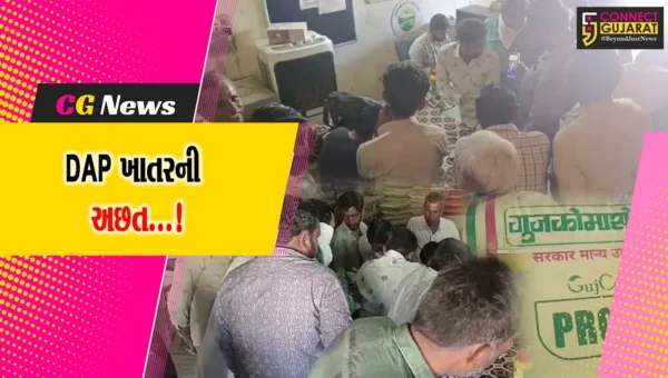 અમરેલી: રવિ પાકના વાવેતરમાં જોતરાતા ખેડૂતો માટે ખાતરની અછત બની પરેશાનીનું કારણ