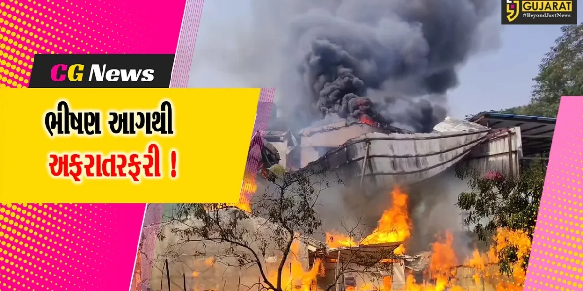 ભરૂચ: ઝઘડિયા GIDCની નાઇટ્રેકસ કેમિકલ કંપનીમાં ભીષણ આગ