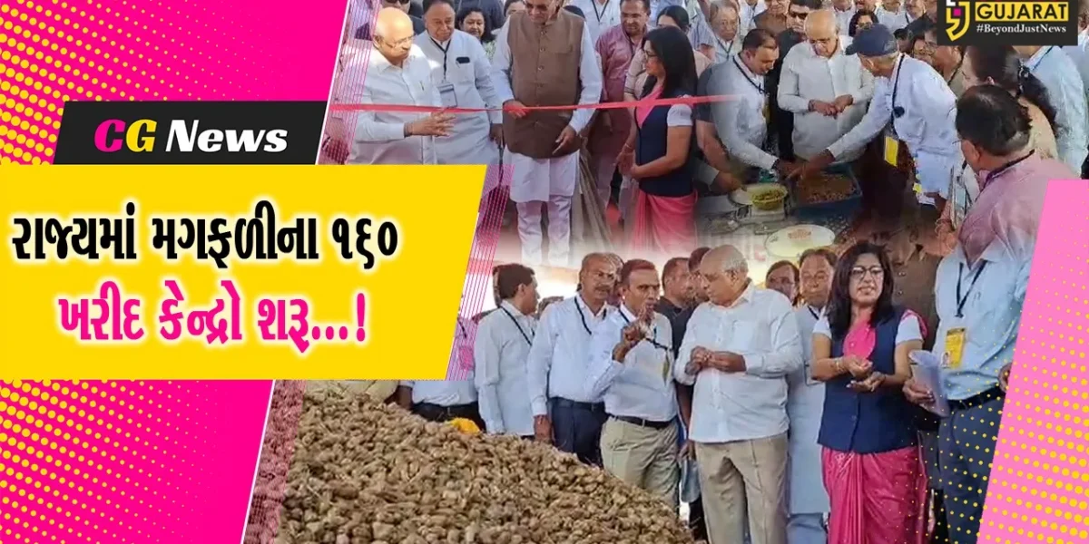 સાબરકાંઠા: હિમંતનગરના કોટન માર્કેટયાર્ડથી CM ભુપેન્દ્ર પટેલે ટેકાના ભાવથી મગફળી ની ખરીદીની શરૂઆત કરાવી