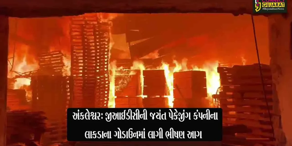 અંકલેશ્વર: GIDCની જયંત પેકેજીંગ કંપનીના લાકડાના ગોડાઉનમાં ભીષણ આગ, ધુમાડાના ગોટેગોટા દૂર દૂર સુધી નજરે પડયા