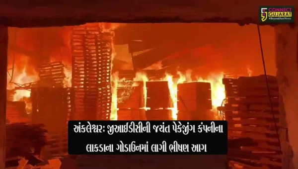 અંકલેશ્વર: GIDCની જયંત પેકેજીંગ કંપનીના લાકડાના ગોડાઉનમાં ભીષણ આગ, ધુમાડાના ગોટેગોટા દૂર દૂર સુધી નજરે પડયા