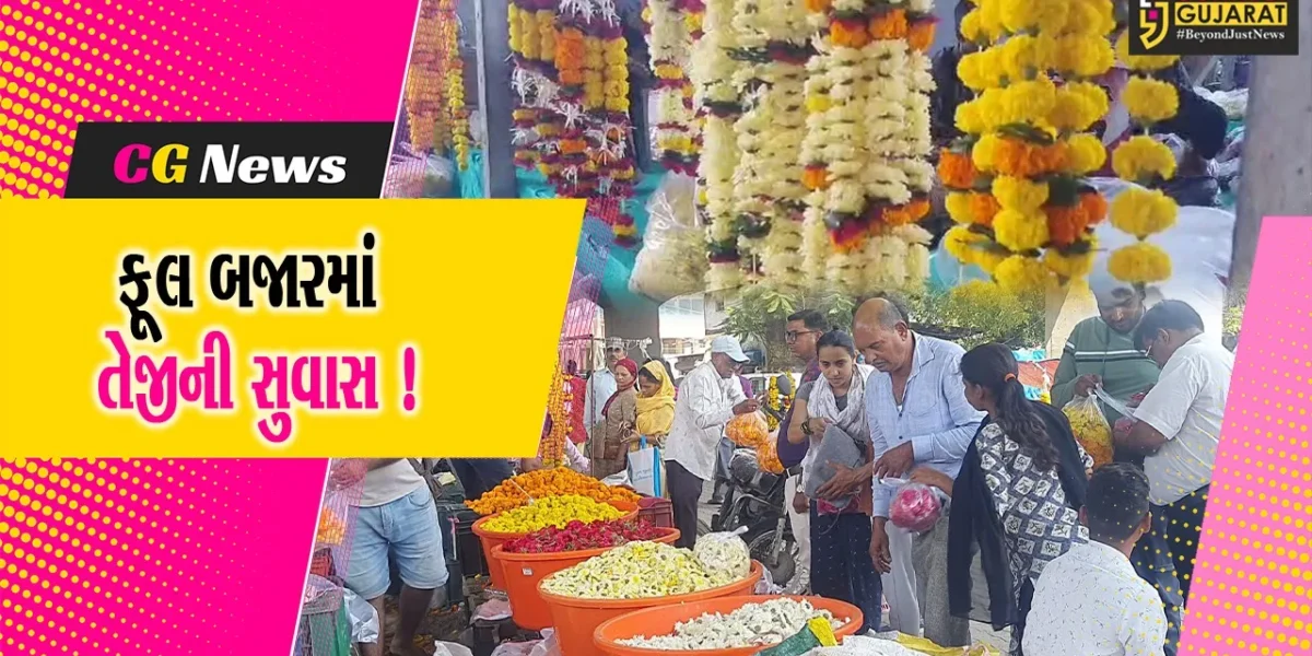 ભરૂચ: દિવાળીના પર્વ પર ફૂલબજારમાં તેજીનો માહોલ, હજારો ટન ફૂલનું થશે વેચાણ!
