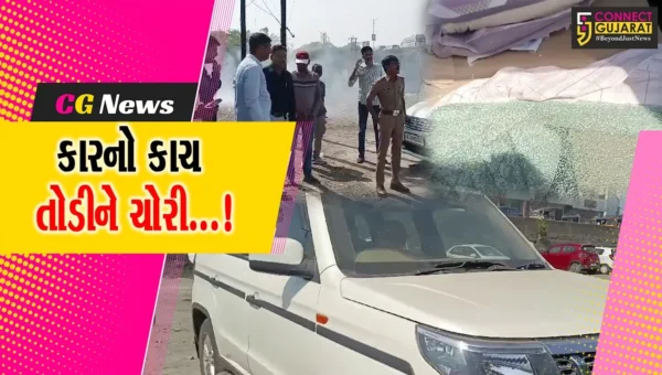 જૂનાગઢ: સક્કરબાગ ઝૂના પાર્કિંગ માંથી કારનો કાચ તોડીને રૂપિયા તેમજ દાગીનાની ચોરીથી ચકચાર