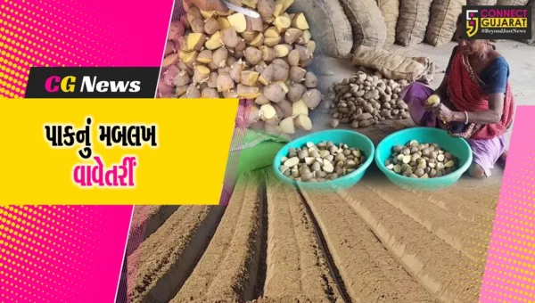 સાબરકાંઠા : ગત વર્ષની સરખામણીએ આ વર્ષે ખેડૂતોએ કર્યું બટાકાના પાકનું મબલખ વાવેતર…