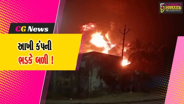 વલસાડ : ઉમરગામની ક્લિયર પોલી પ્લાસ્ટ કંપનીમાં ભીષણ આગ