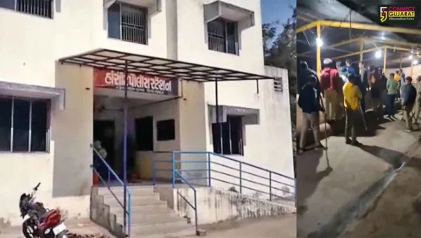 અંકલેશ્વર: હાંસોટ કંટીયાળજાળ રોડ પર તબેલામાં 2 ગૌ વંશની કતલ, પોલીસે ખાટકીની કરી ધરપકડ