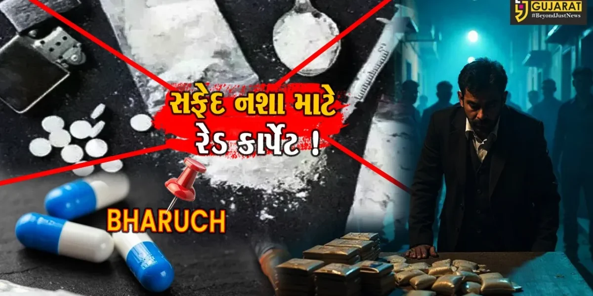 સફેદ નશાના કાળા કારોબાર માટે રેડ કાર્પેટ બનતું ભરૂચ, 4 વર્ષમાં રૂ.8 હજાર કરોડનું ડ્રગ્સ ઝડપાયું !