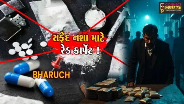 સફેદ નશાના કાળા કારોબાર માટે રેડ કાર્પેટ બનતું ભરૂચ, 4 વર્ષમાં રૂ.8 હજાર કરોડનું ડ્રગ્સ ઝડપાયું !