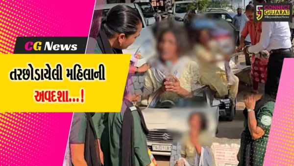 ભરૂચ: લવ જેહાદનો ભોગ બનીને બાળકને જન્મ આપનાર મહિલાનો સિવિલ હોસ્પિટલમાં હંગામો