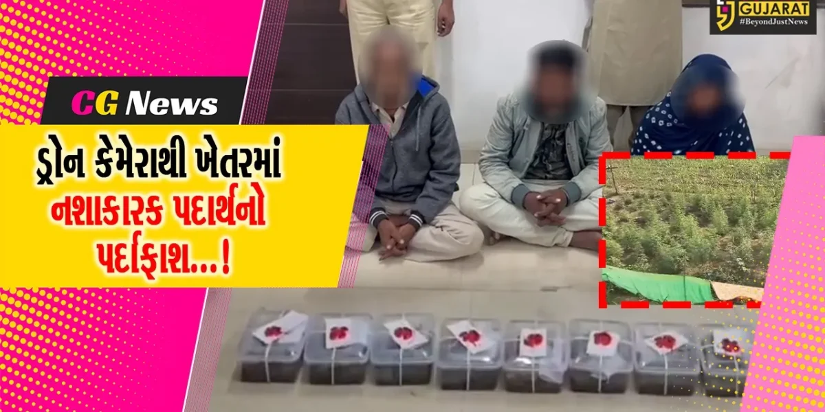 દાહોદ : હાઈટેક પોલીસે થર્મલ ઇમેજિંગ ધરાવતા ડ્રોન કેમેરાની મદદથી ખેતરમાંથી નશાકારક પાકનો કર્યો પર્દાફાશ