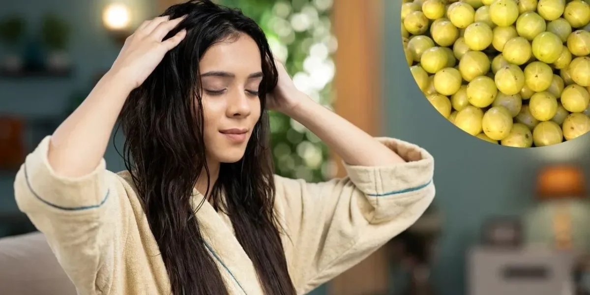 આમળામાં આ વસ્તુઓ મિક્સ કરીને વાળમાં લગાવો