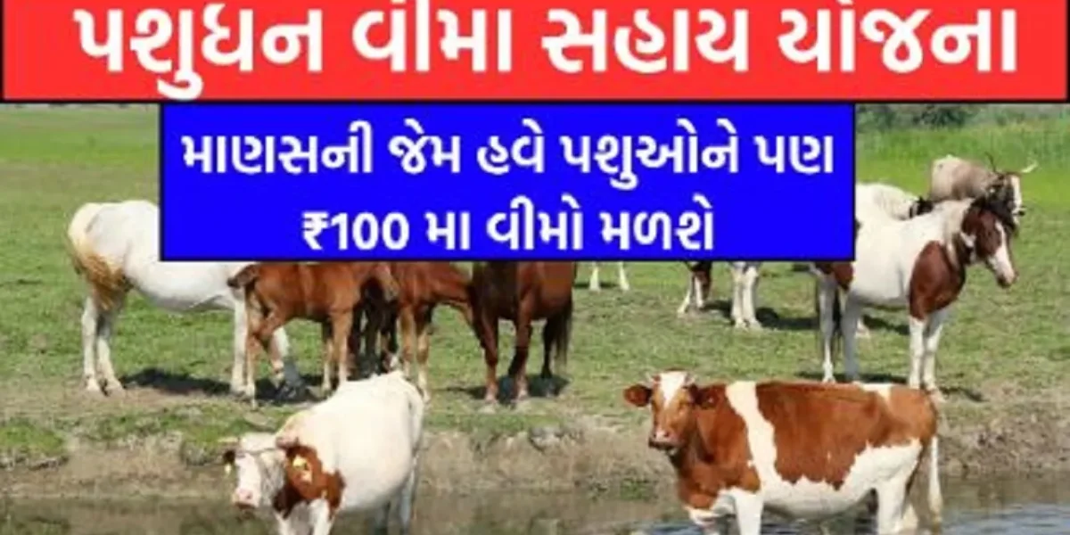 હવે, ગુજરાતનો પશુપાલક વીમા કંપનીને માત્ર રૂ. 100 પ્રીમીયમ ચૂકવીને પોતાના પશુને “વીમા કવચ”થી સુરક્ષિત કરી શકશે…
