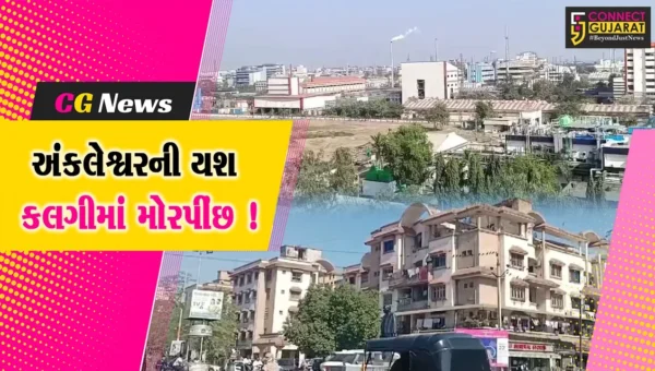 અંકલેશ્વર: કેન્દ્ર સરકારના ઉદ્યોગ મંત્રાલય દ્વારા GIDCને બેસ્ટ ઈન્ફાસ્ટ્રક્ચર ચેમ્પિયન એવોર્ડ એનાયત કરાયો