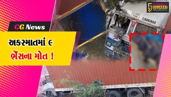 ભરૂચ: ઝઘડિયા ચાર રસ્તા નજીક પશુ ભરેલ કન્ટેનરને નડ્યો અકસ્માત, 9 ભેંસના મોત