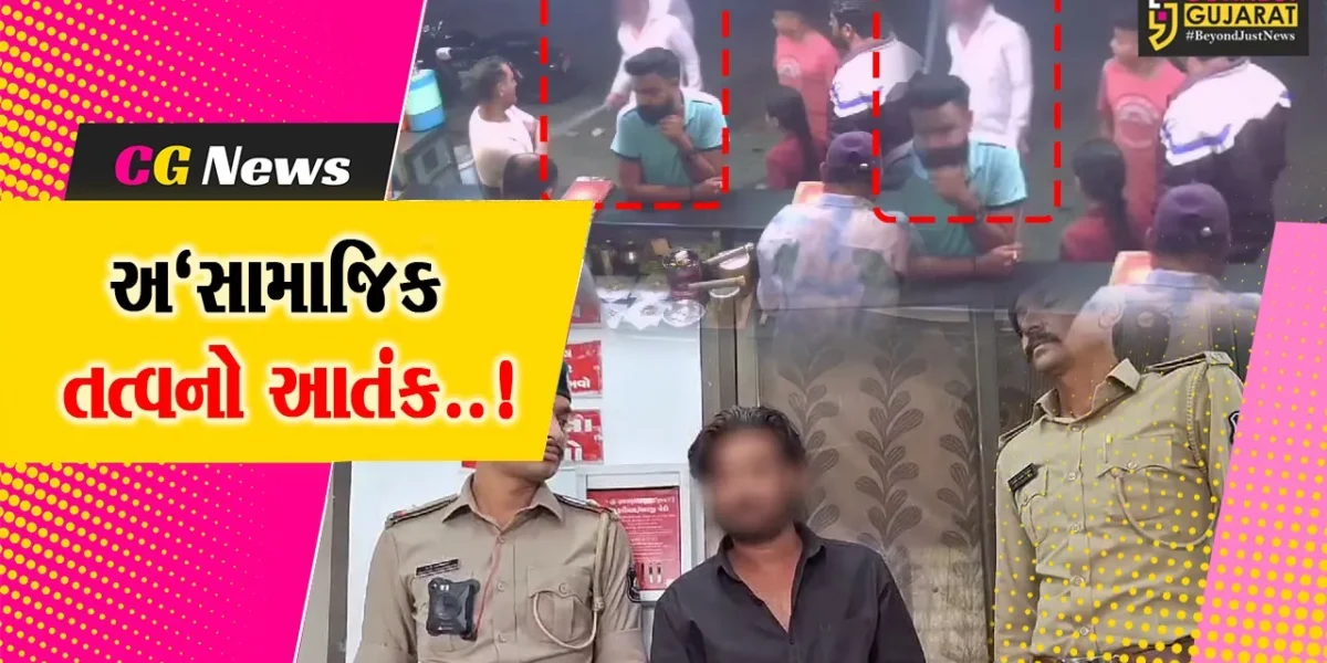 જુનાગઢ : જાહેરમાં તીક્ષ્ણ હથિયાર લઈને ધમાલ મચાવનાર અ’સામાજિક તત્વની પોલીસે કરી ફિલ્મી ઢબે ધરપકડ…