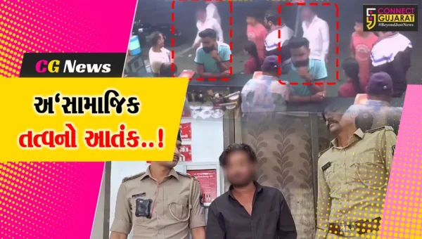 જુનાગઢ : જાહેરમાં તીક્ષ્ણ હથિયાર લઈને ધમાલ મચાવનાર અ’સામાજિક તત્વની પોલીસે કરી ફિલ્મી ઢબે ધરપકડ…