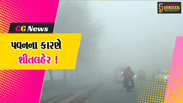 અંકલેશ્વર: ઠંડા પવનો ફૂંકાતા તાપમાનનો પારો 14 ડિગ્રીએ પહોંચ્યો, લોકોએ કર્યો ફૂલ ગુલાબી ઠંડીનો અનુભવ