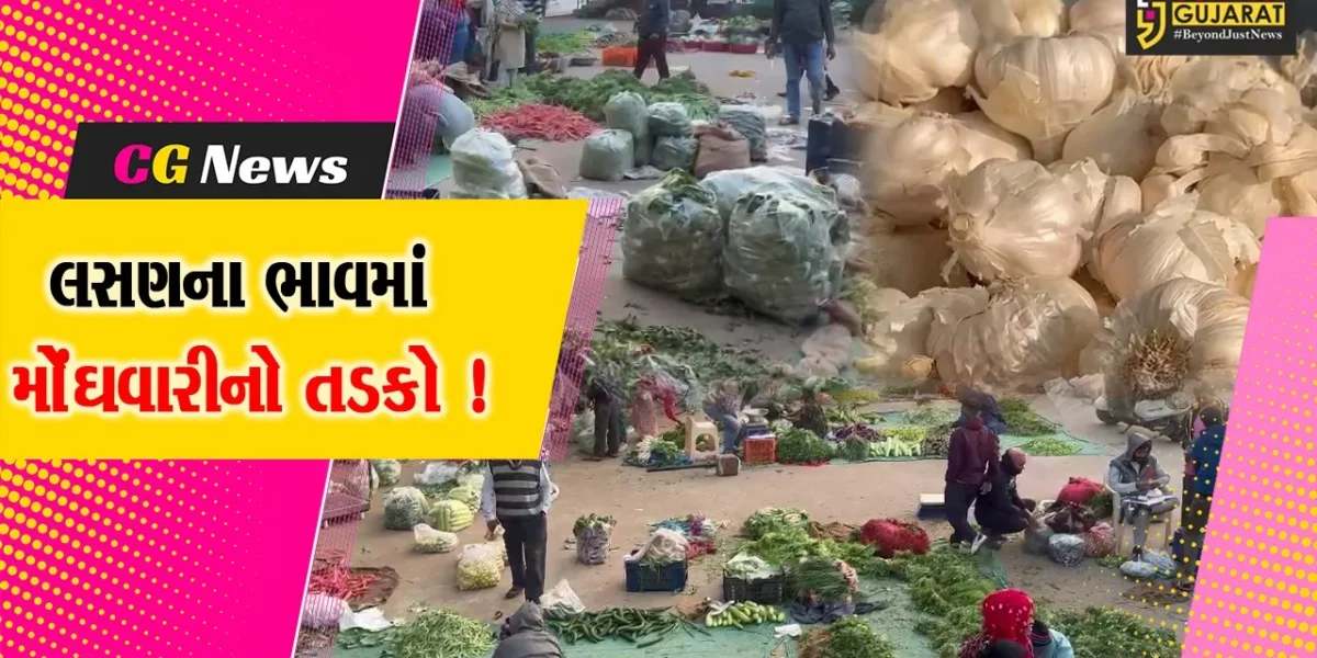ભરૂચ: શિયાળો શરૂ થતા જ લસણના ભાવે ગરમાટો લાવી દીધો, ભાવ રૂ.500ને પાર !
