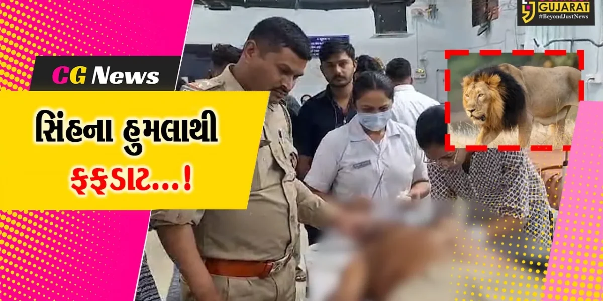 જૂનાગઢ:વંથલીમાં માલધારી અને વન વિભાગના કર્મચારી પર સિંહના હુમલાથી ફફડાટ