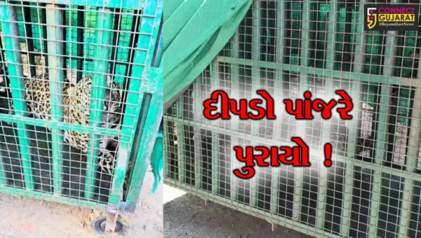 અંકલેશ્વર: કોસમડી ગામમાં આવેલ ફાર્મ હાઉસમાંથી દીપડો પાંજરે પુરાયો