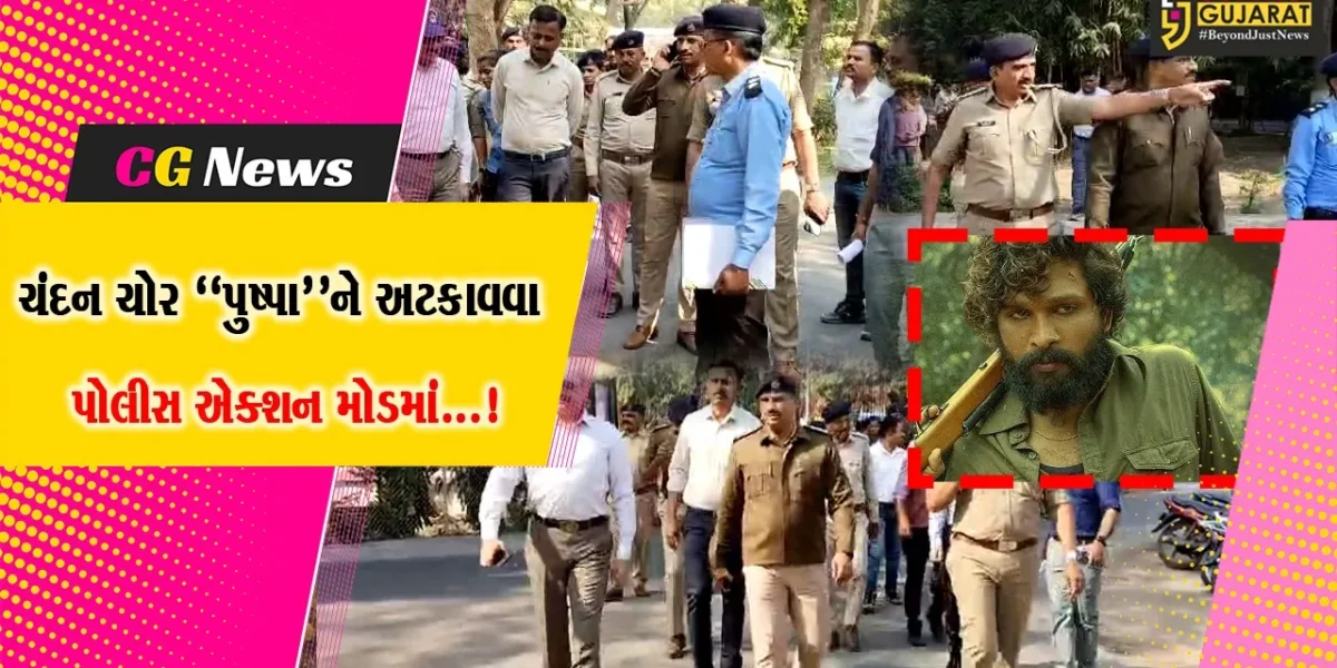 વડોદરા: MS યુનિવર્સિટી કેમ્પસમાં થતા ચંદનના વૃક્ષની ચોરીની ઘટનાને ડામવા  પોલીસે ઘડી કાઢ્યો એક્શન પ્લાન